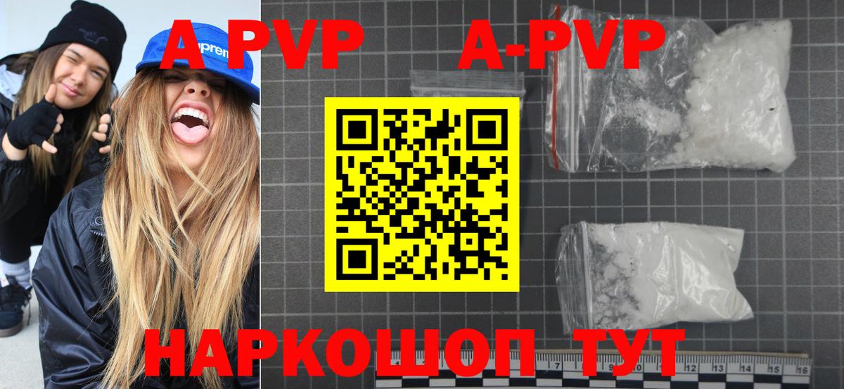 Альфа ПВП СК Калининград
