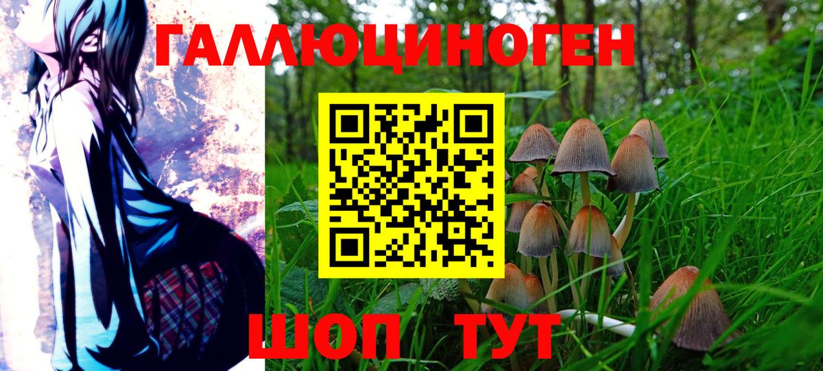 Калининград  Галлюциногенные грибы Cubensis  Галлюциногенные грибы прущие грибы  Вход с VPN 